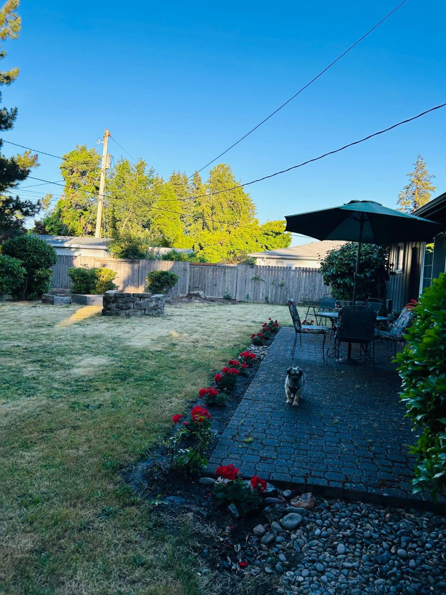 Emerald City 3 Bedroom 1 Bath Home Γιουτζίν Εξωτερικό φωτογραφία