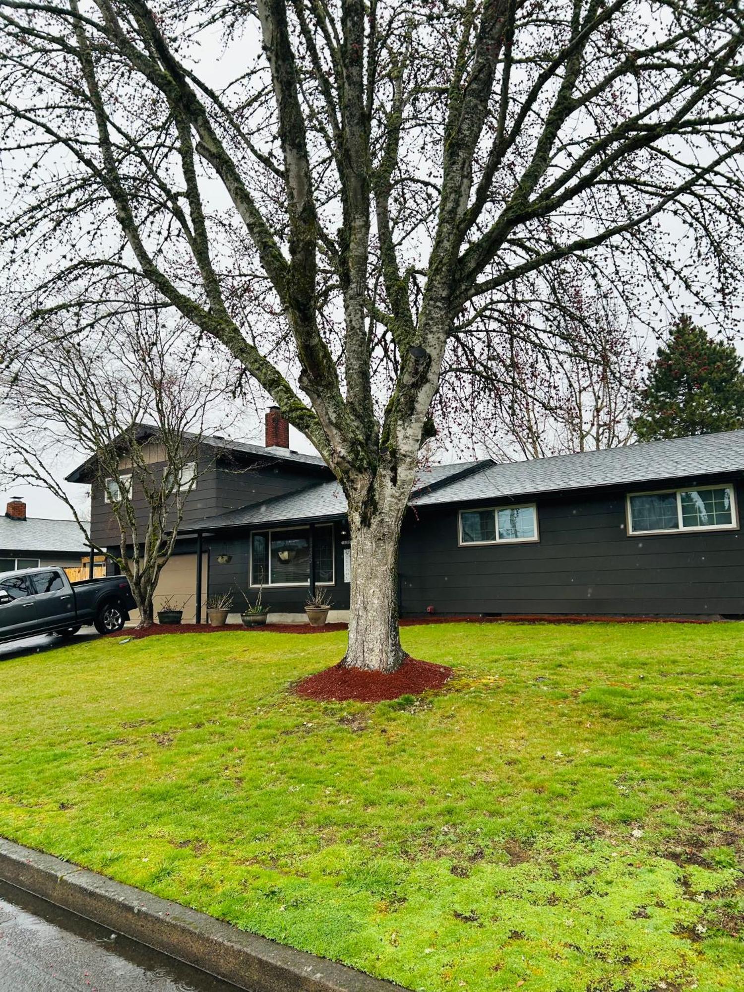 Emerald City 3 Bedroom 1 Bath Home Γιουτζίν Εξωτερικό φωτογραφία